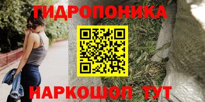 СК Донецк