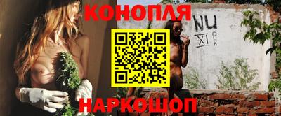 СК Донецк