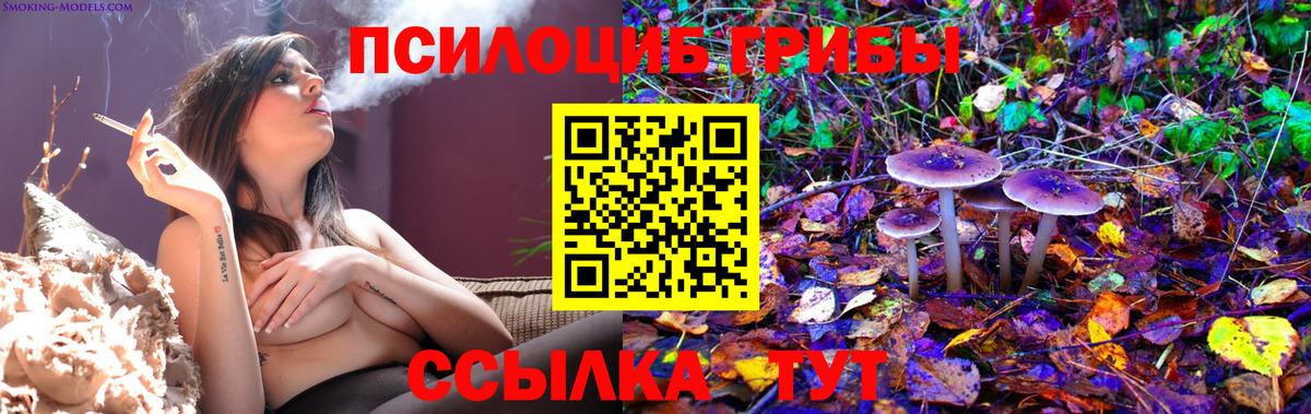 Магнитогорск  Галлюциногенные грибы Cubensis  Вход с VPN  Галлюциногенные грибы ЛСД 