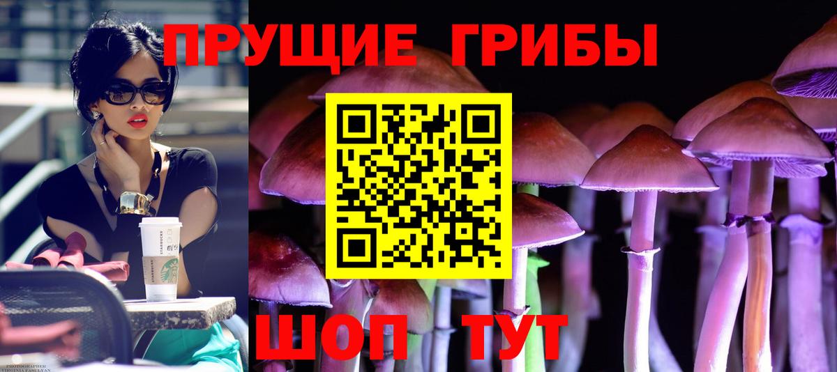 Галлюциногенные грибы MAGIC MUSHROOMS Магнитогорск